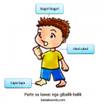 parte sa lawas nga gibalik balik