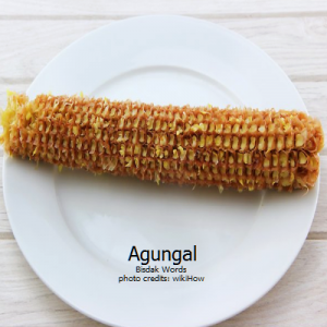 agungal