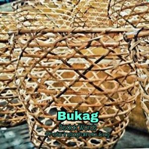 bukag bisdak words
