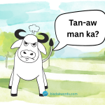 carabao english